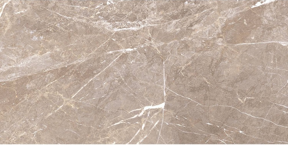 VASSARI GRIS POLISHED 60X120